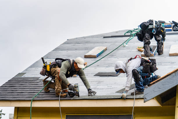 Professional Emergency Roof Repair technician working in Moscow, TN